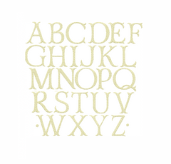 Large Hoop Ashley FILL Embroidery Font Type Embroidery Font