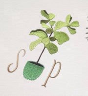 Fiddle Leaf Fig Embroidery Design