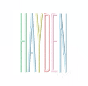 Hayden Satin Deco Type Embroidery Font